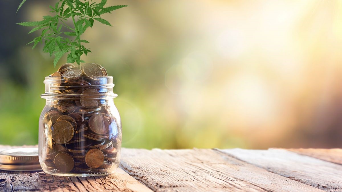 INVESTING AND THE CROWD – CANNABIS CROWD THAT IS…!